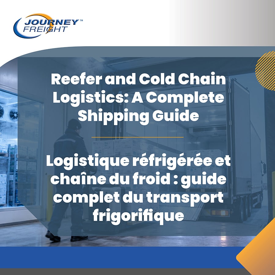 Reefer and Cold Chain Logistics: A Complete Shipping Guide